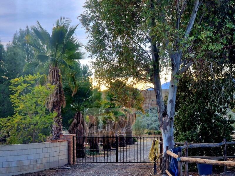 1 bedroom Country House for sale