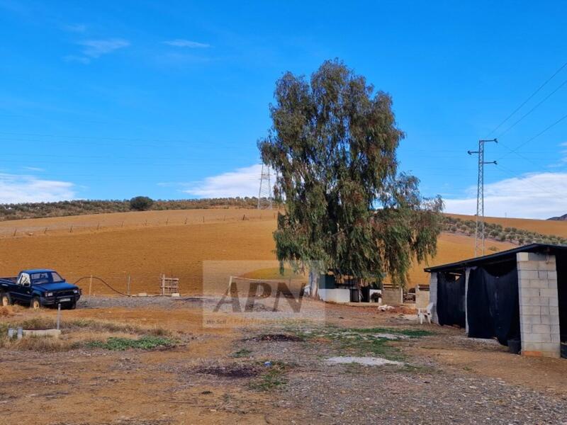 1 bedroom Country House for sale