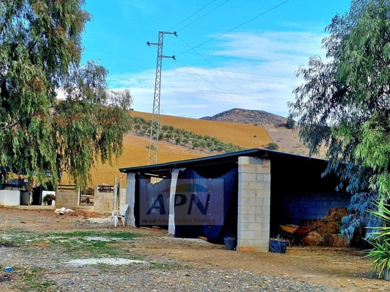 1 bedroom Country House for sale