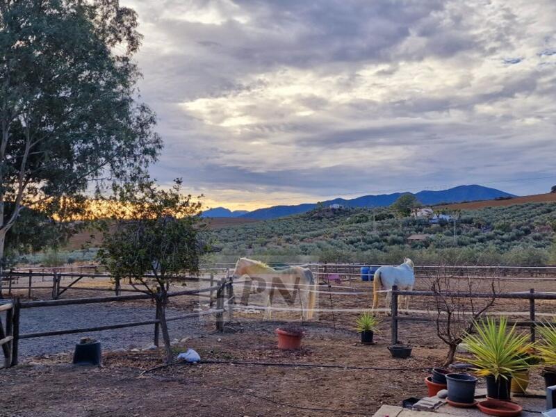 1 bedroom Country House for sale
