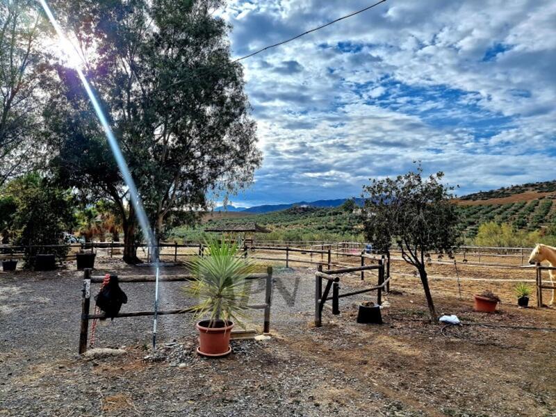 1 bedroom Country House for sale