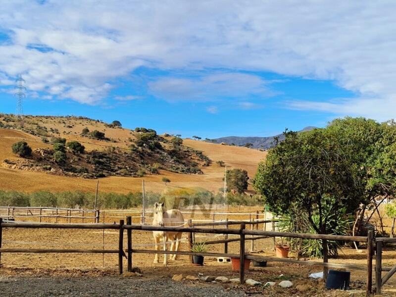 1 bedroom Country House for sale