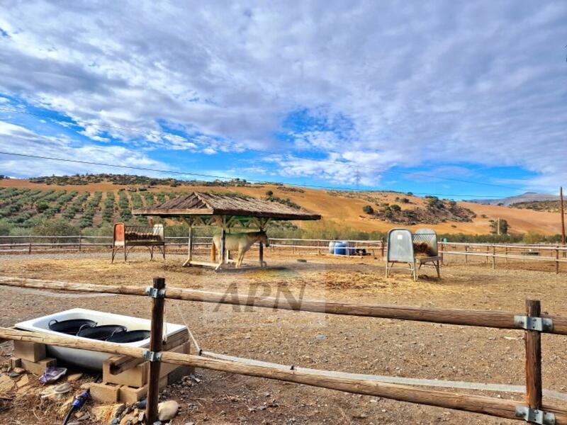 1 bedroom Country House for sale