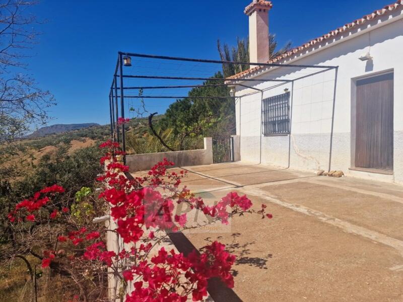 Landsted til salg i Alora, Málaga