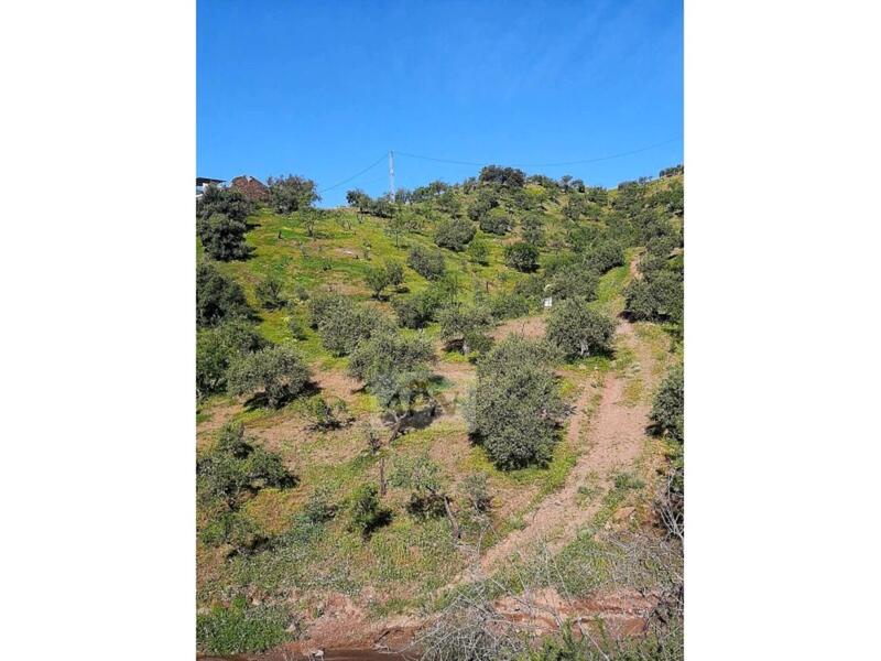 Country House for sale