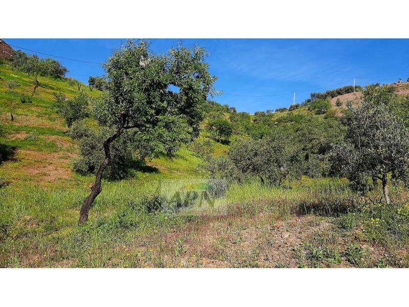 Country House for sale