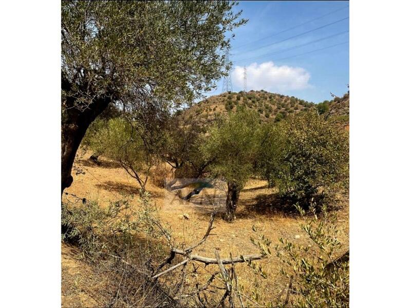вилла продается в Alora, Málaga