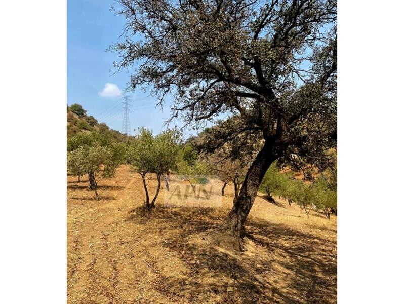 Villa for sale