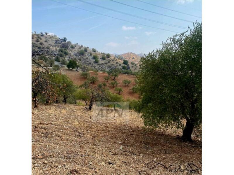 Villa for sale