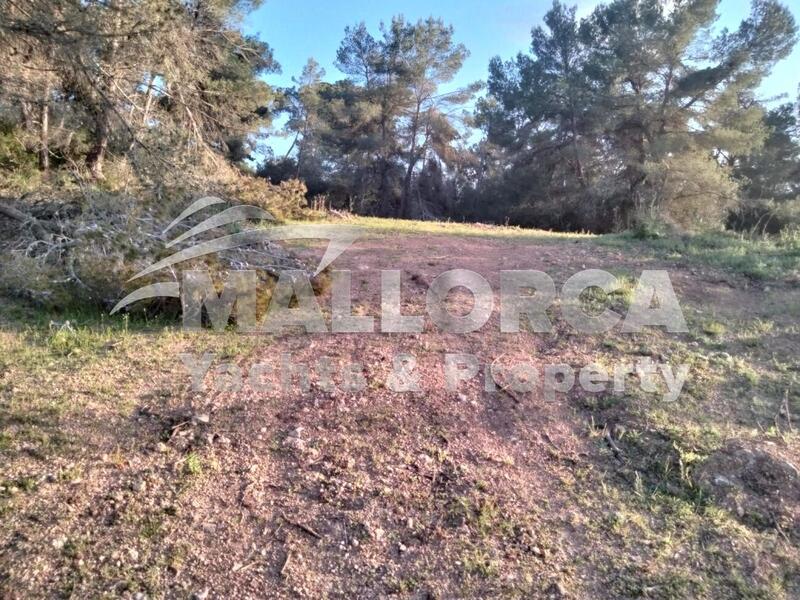 вилла продается в Felanitx, Mallorca