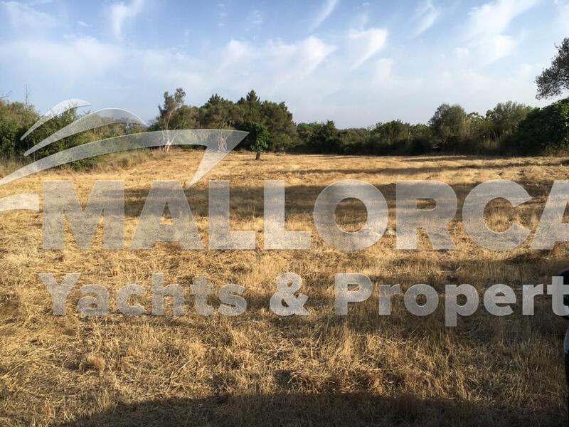 Villa for sale