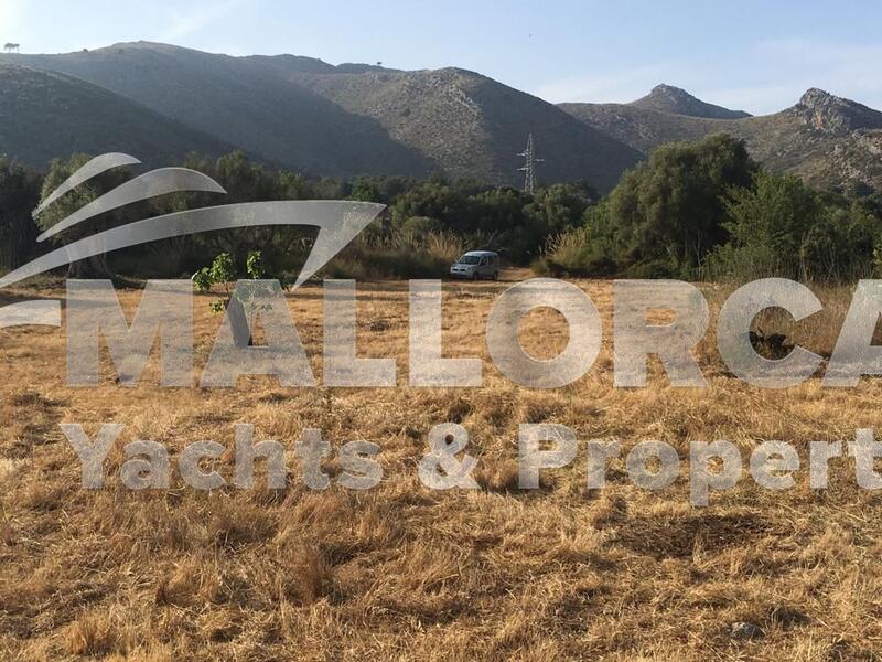 Villa for sale