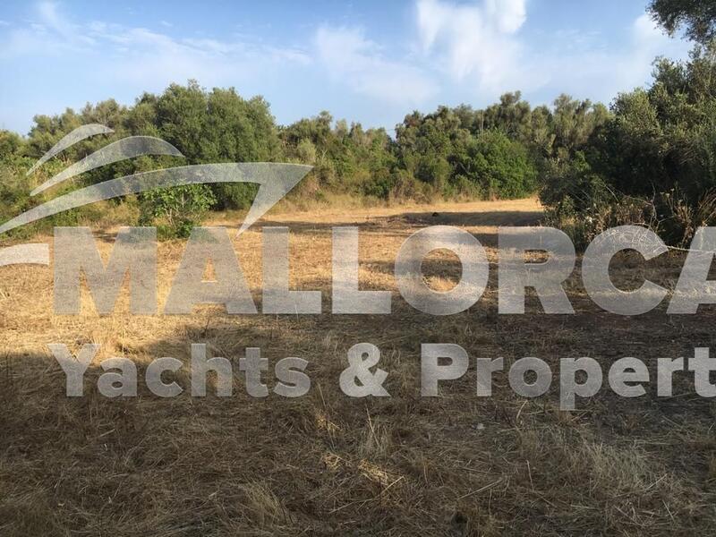 Villa for sale