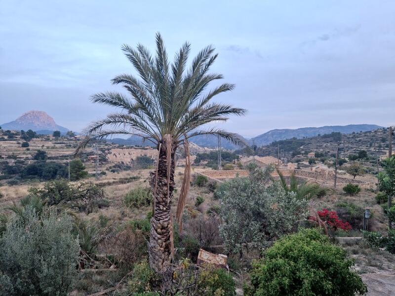 7 bedroom Country House for sale