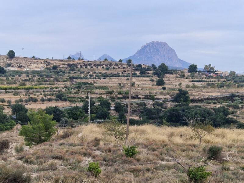 7 bedroom Country House for sale