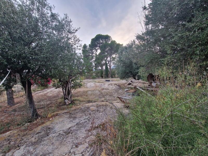 7 bedroom Country House for sale