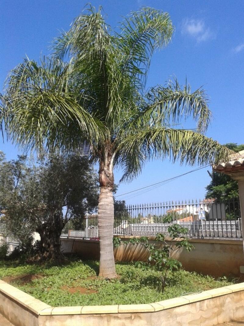5 chambre Villa à vendre