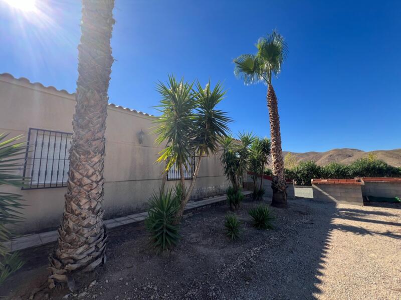 3 chambre Villa à vendre