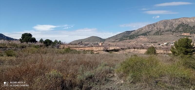 Villa for sale