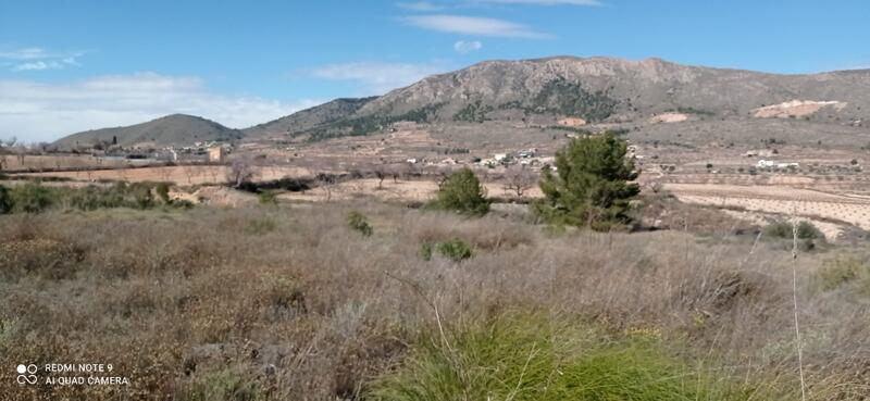Villa for sale