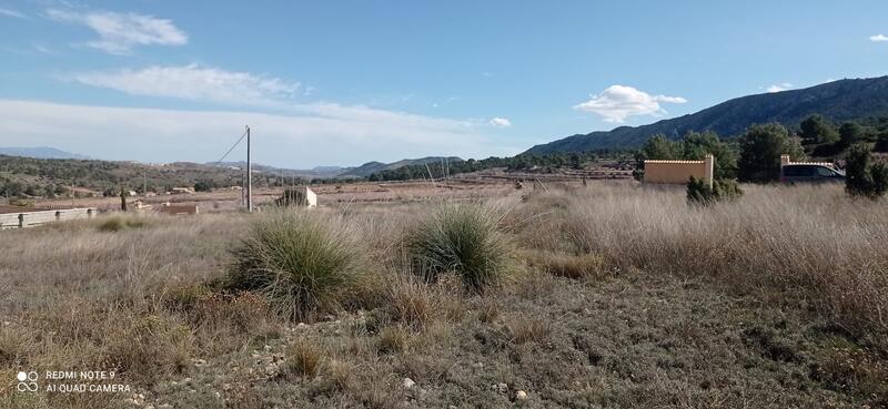 Villa for sale