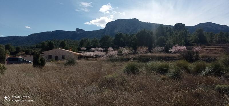 Villa for sale
