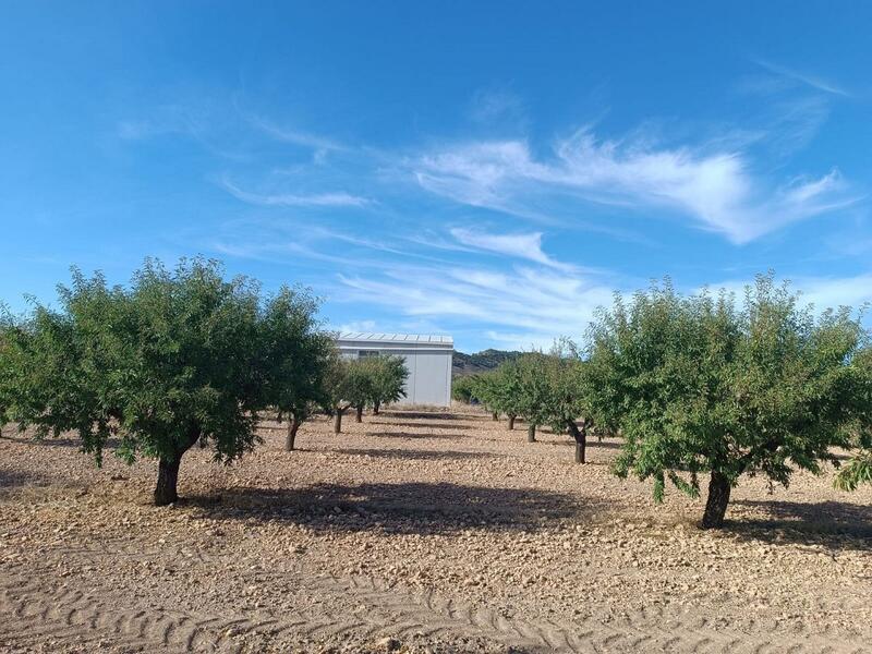 Land for sale