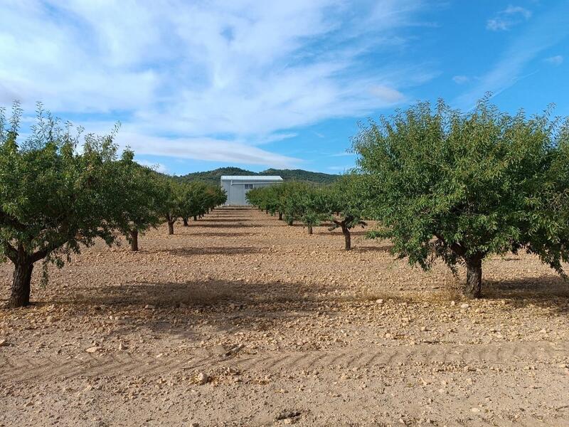 Land for sale