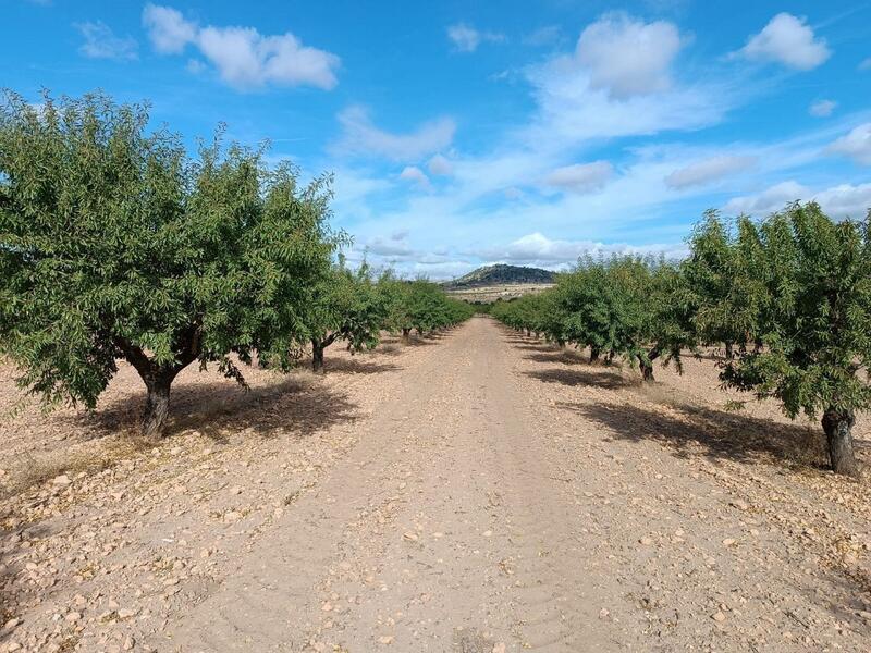 Land for sale