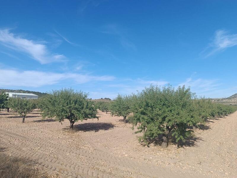 Land for sale