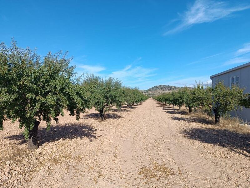 Land for sale