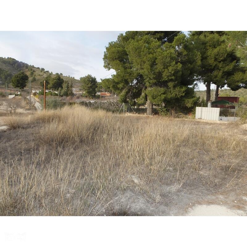 2 bedroom Cave House for sale