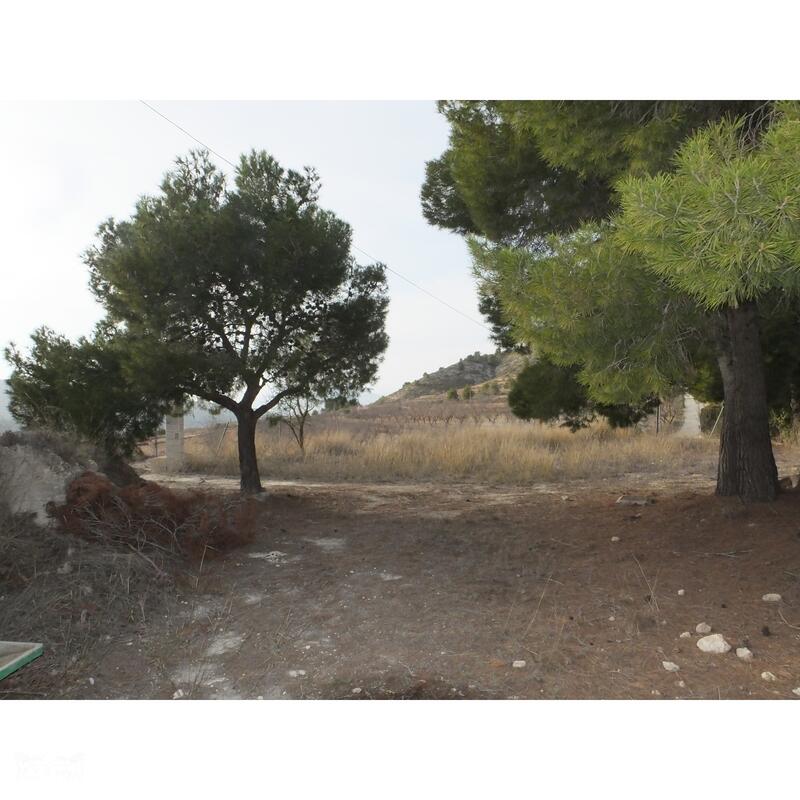 2 bedroom Cave House for sale