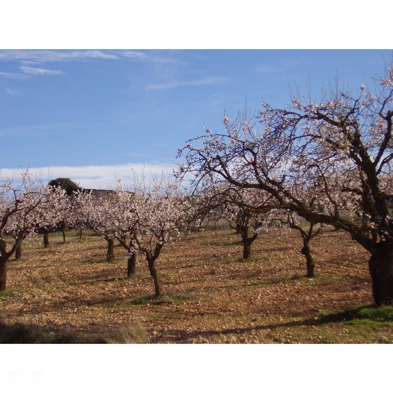 Country House for sale