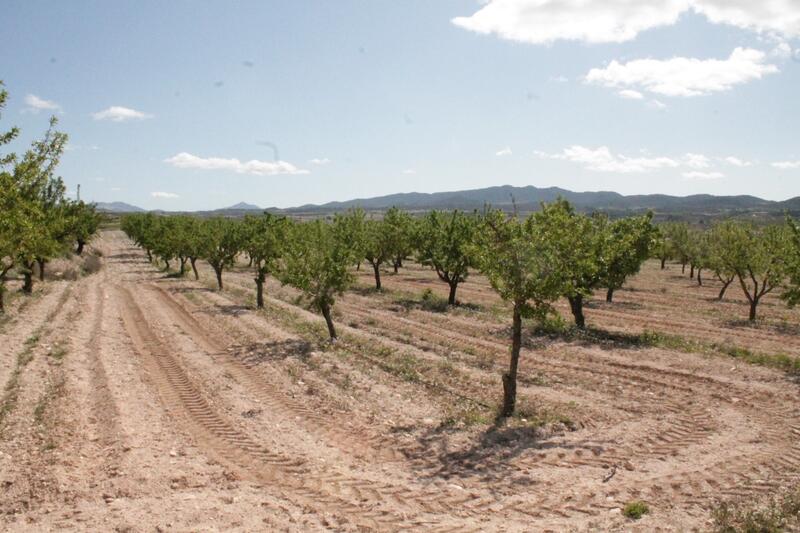 Land for sale