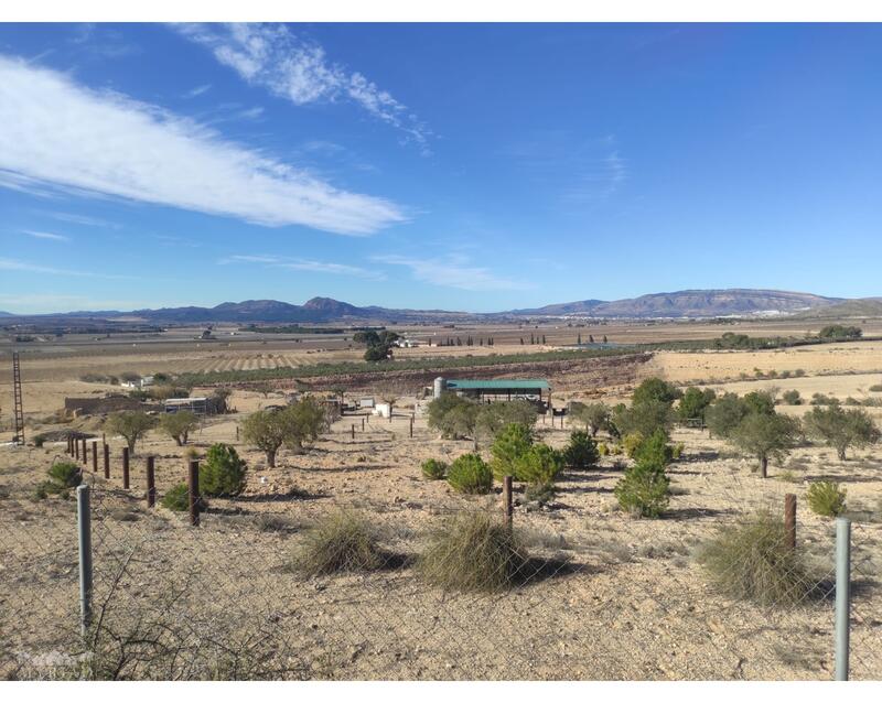 Land for sale