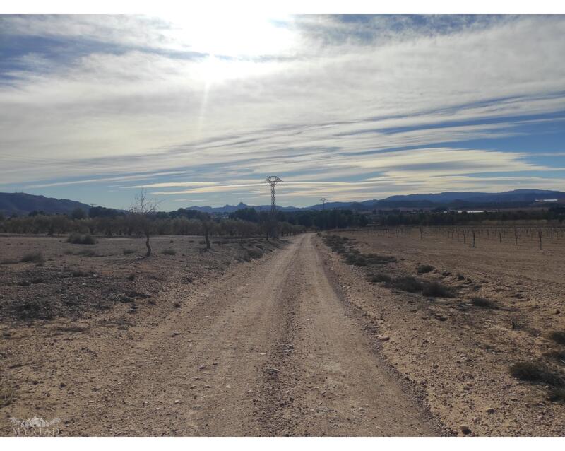 Land for sale
