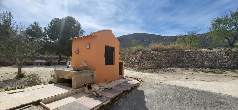 5 bedroom Country House for sale