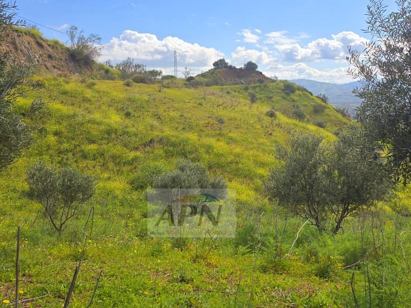 Country House for sale