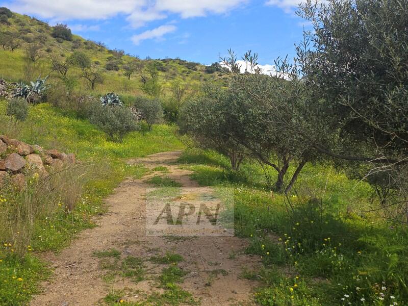 Country House for sale
