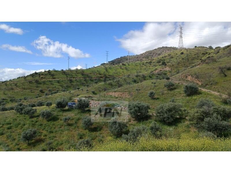 Country House for sale