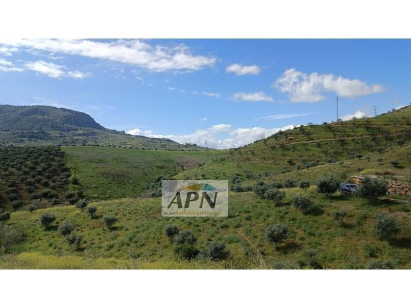 Country House for sale