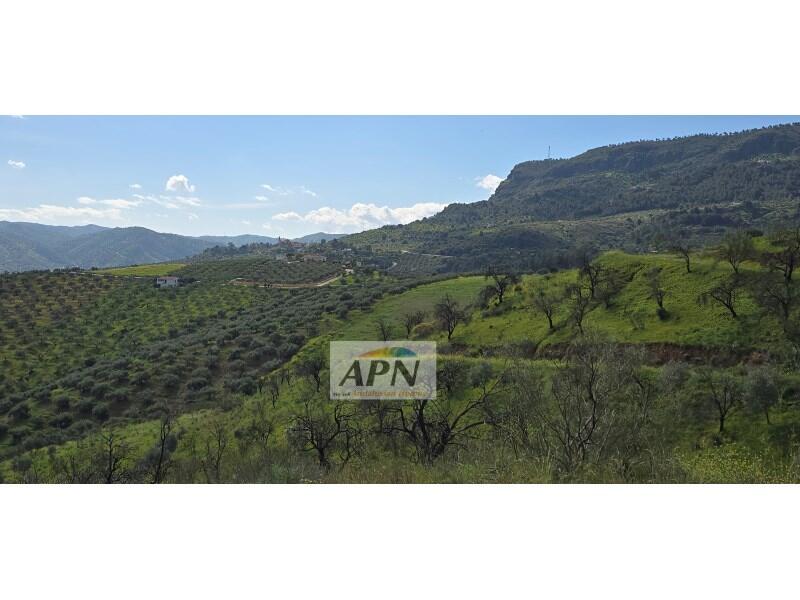 Country House for sale