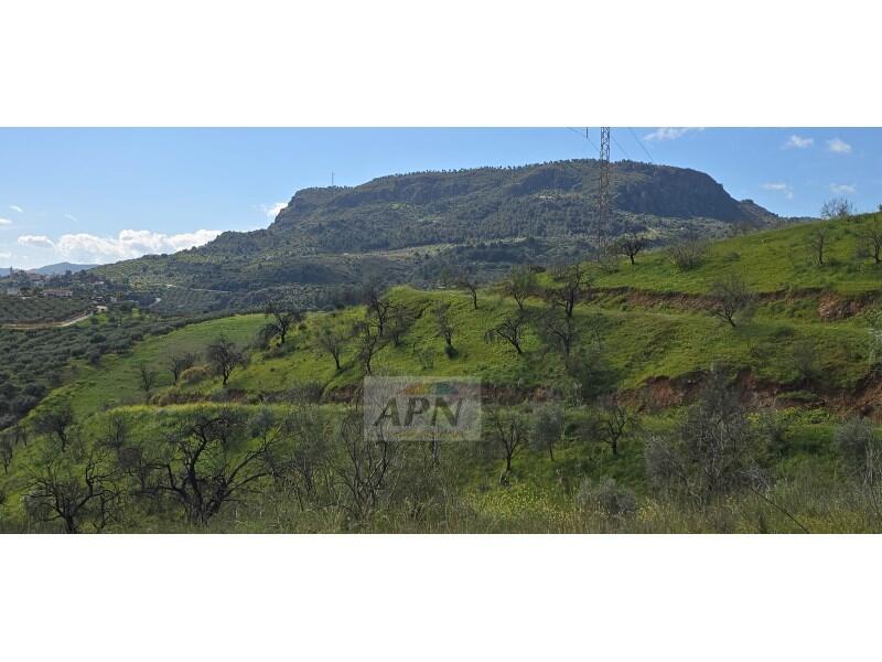 Country House for sale