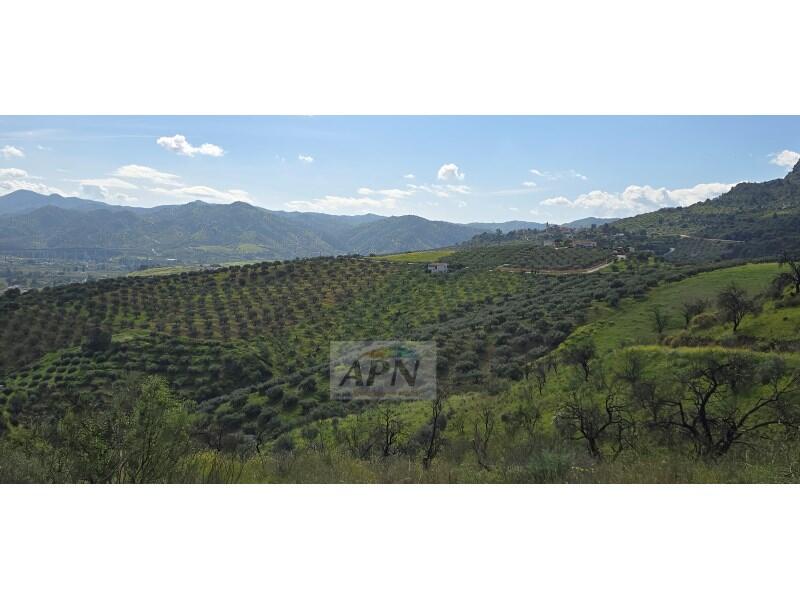 Country House for sale