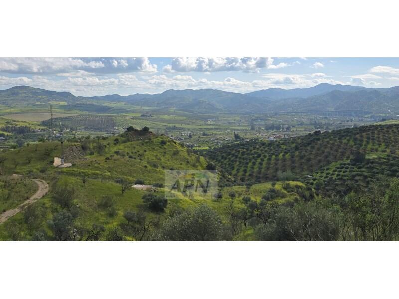 Country House for sale
