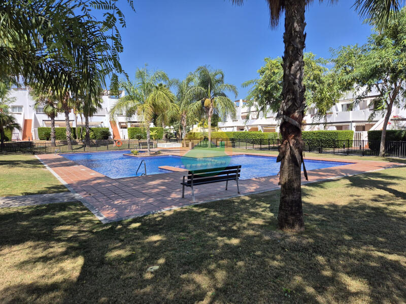 3 Cuarto Apartamento en venta