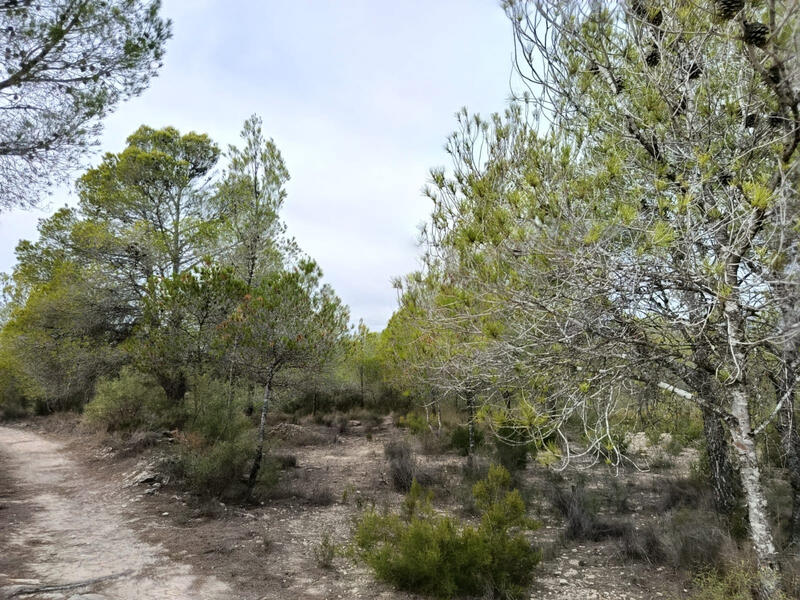 Lejlighed til salg i Monóvar, Alicante