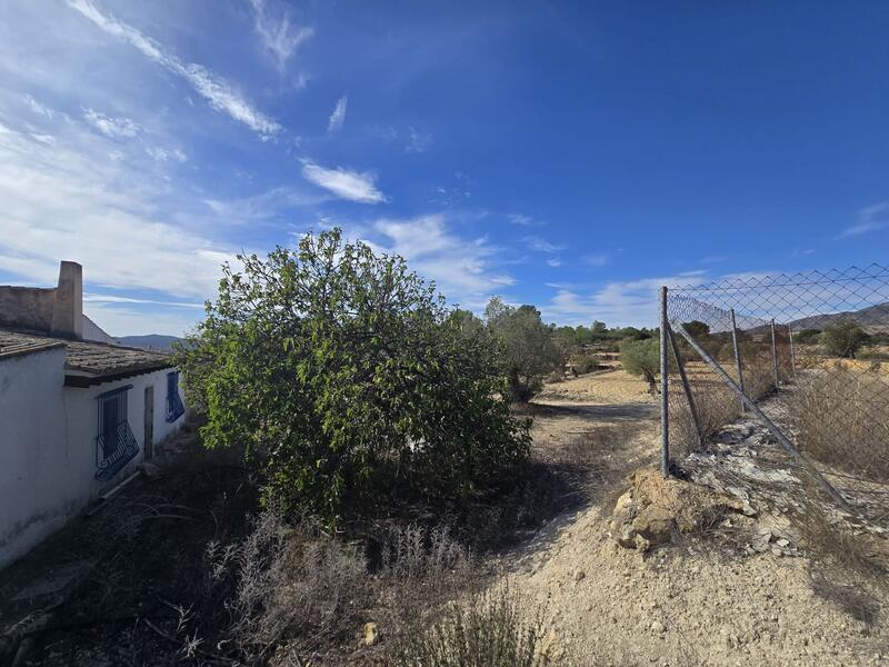 7 bedroom Country House for sale 7 bedroom Country House for sale