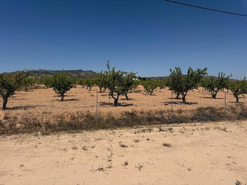 3 bedroom Villa for sale 3 bedroom Villa for sale